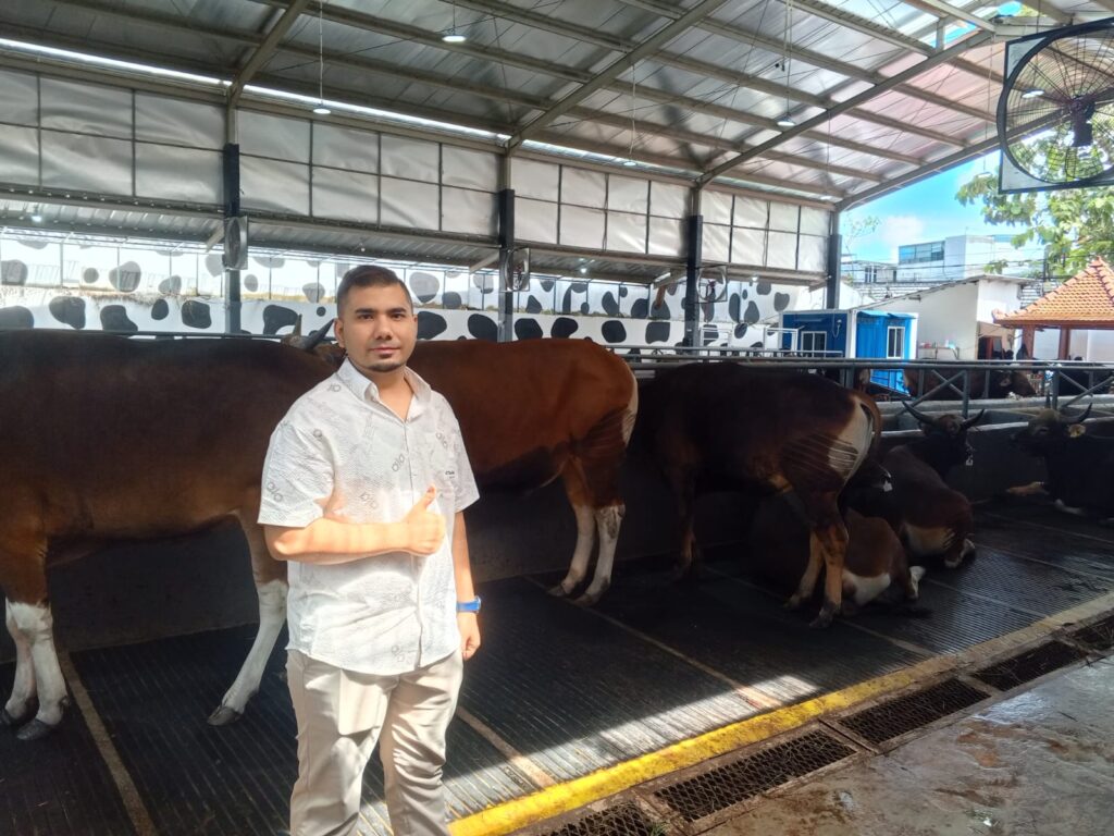 Stok Menipis, Demang Farm Siap Tambah Sapi Langsung dari Petani Bali
